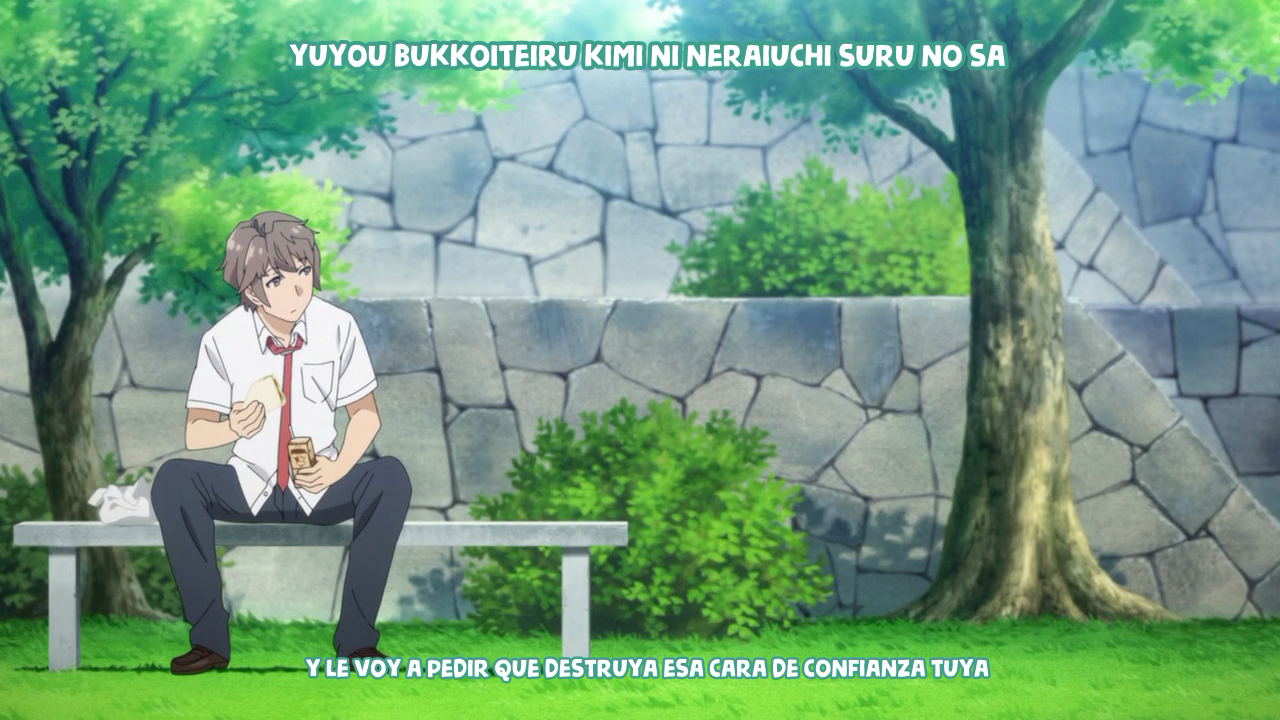 Seishun Buta Yarou wa Bunny Girl Senpai no Yume wo Minai (AniHenjin)